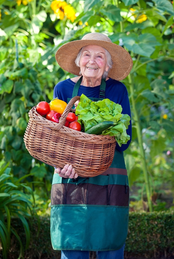 Home Care Wake Forest, NC: Good Neighbor Day